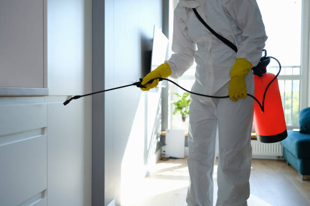 Professional Mold Removal in Conway, SC