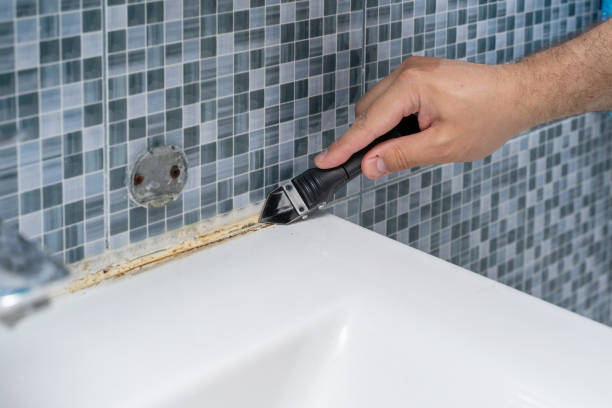 Best Toxic Mold Removal  in Conway, SC